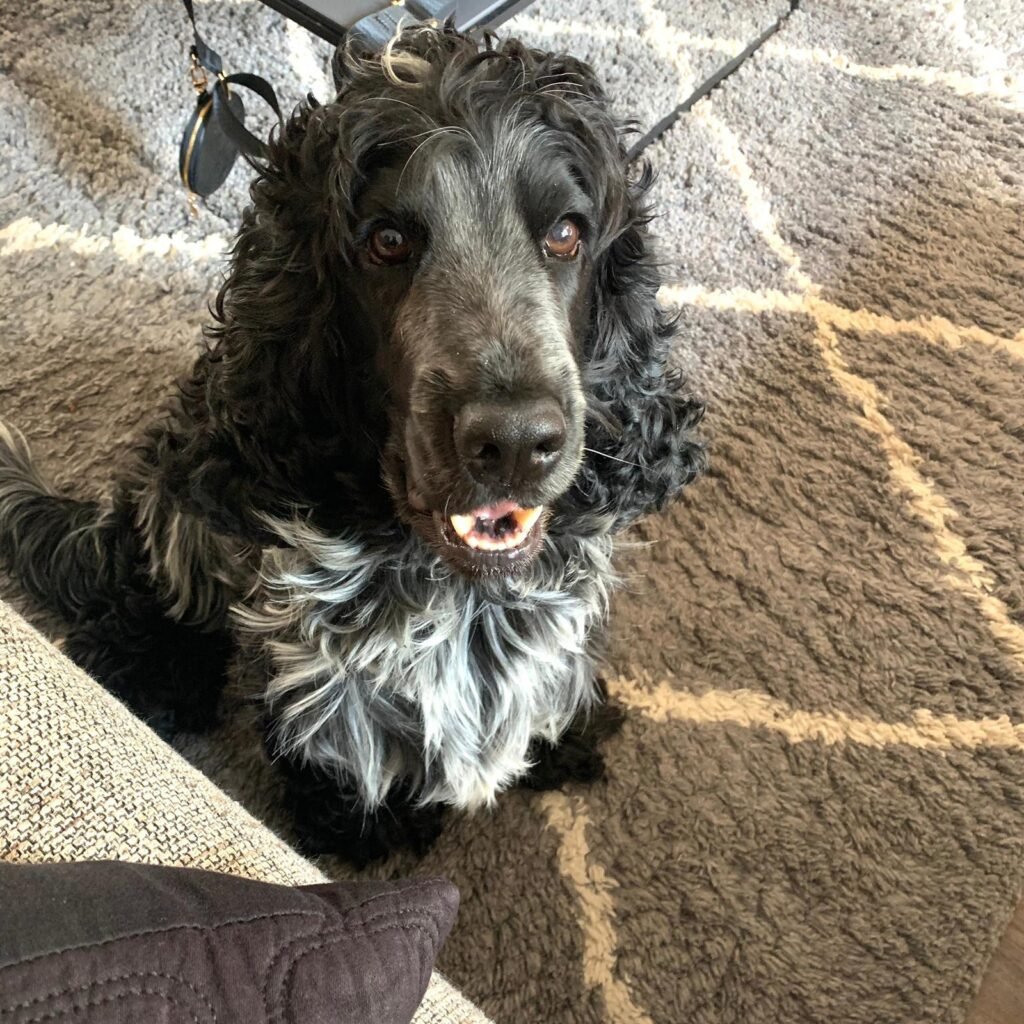 whatsapp image 2025 12 06 at 19.25.23 (1) whatsapp image 2025 12 06 at 19.25.23 (1)