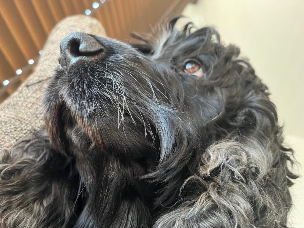 whatsapp image 2025 12 06 at 19.25.23 whatsapp image 2025 12 06 at 19.25.23